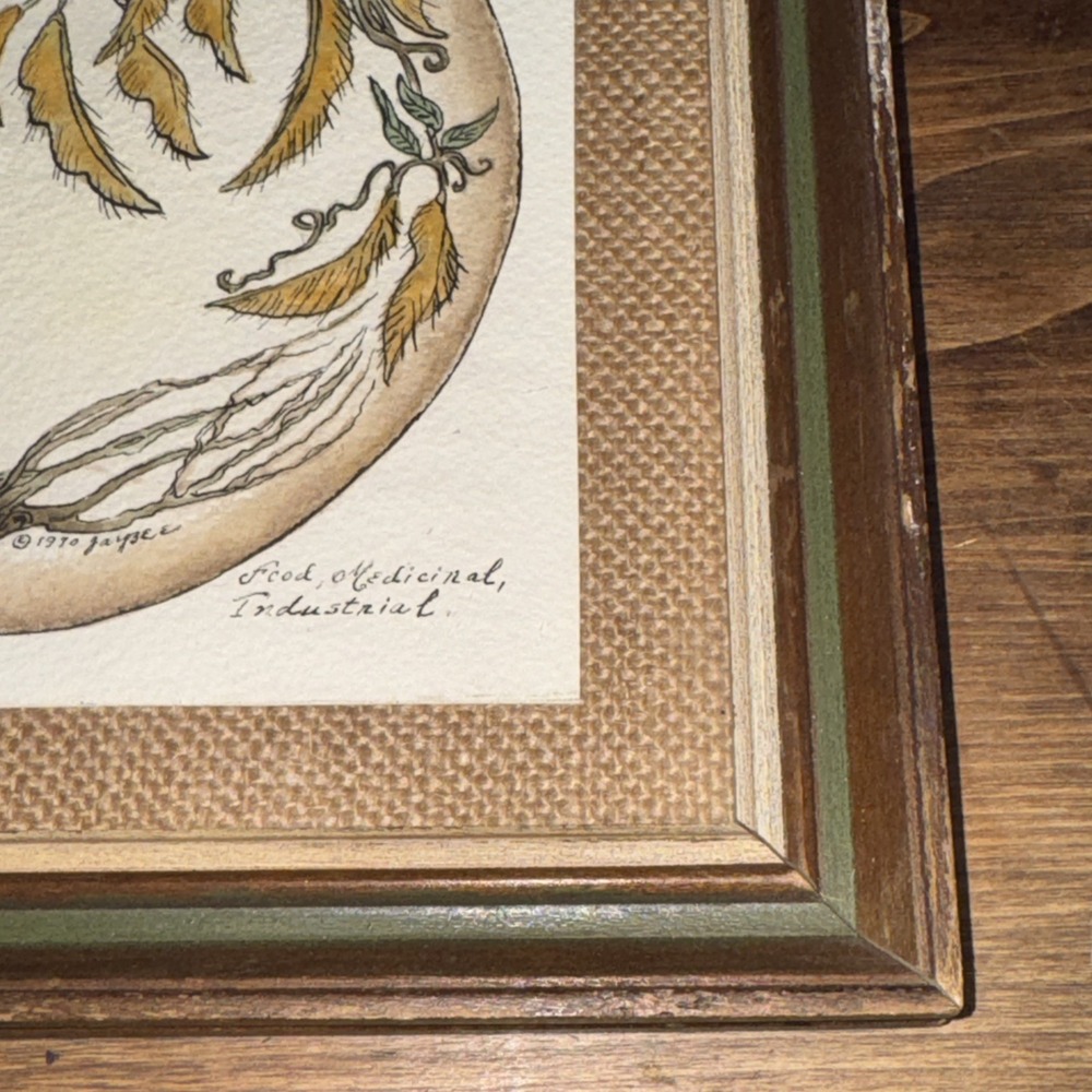 Vintage 1970s Framed Botanical Art Prints MCM Set Wood Burlap Mat Green Gold